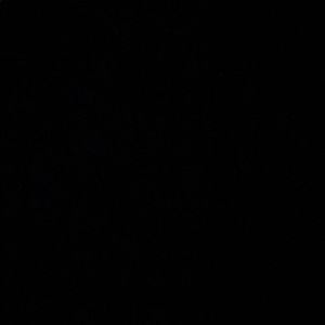 Meet your Posher, Melvin